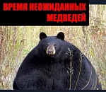 Итоги праймериз в Икряном пересмотрены: на выборы от «ЕР» идет Наталья Бутузова