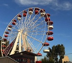 Астраханцы продолжают выступать за сохранение парка «Планета» 