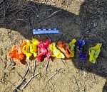 В Астрахани спецназ задержал группу драгдилеров из Иркутска