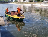 Астраханские каналы начали очищать от мусора 