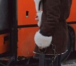 Фото дня: свистать всех в автобус