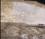 Возле Астраханского технического университета провалился огромный кусок асфальта (ВИДЕО)