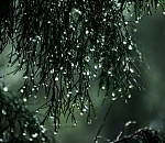 Какую погоду ждать астраханцам в канун Старого Нового года