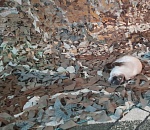 В Астрахани масксети для СВО плетут даже дети. Но рук не хватает