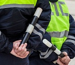 В Астраханской области водитель удивился находке под капотом своего автомобиля