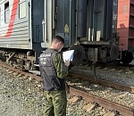 Рабочего насмерть зажало вагонами в Астраханской области