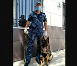 Боцман помог астраханским полицейским найти краденое