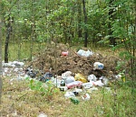 В Астраханском природном парке устроили свалку