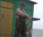 Крутое «Home video» из Астраханского заповедника