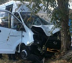 В Астрахани маршрутка врезалась в дерево, есть пострадавшие