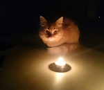 Сегодня, 12 июля, в двух районах Астрахани отключат свет