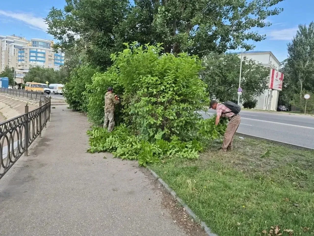 Астраханским водителям и пешеходам расчищают обзор