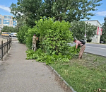 Астраханским водителям и пешеходам расчищают обзор