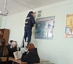 Котята повадились застревать в вентиляции астраханской школы