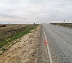 Заяц стал причиной серьезного ДТП в Астраханской области