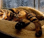 В субботу в Астрахани немного потеплеет