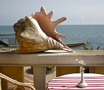 Отдых на курортах Кубани подорожает из-за запрета Египта и Турции 