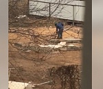 В Астрахани ребёнок жестоко издевался над щенком