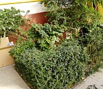 В Астрахани неизвестный водитель ночью припарковался прямо в кусты