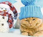 Астраханская зима неохотно сдает свои позиции