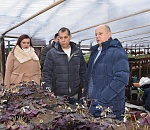 Весной Астрахань ждет масштабное озеленение и приятные сюрпризы