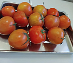 Вирус коричневой морщинистости нашли в томатах, поступивших в Астрахань