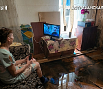 Расселение отложили до лягушек: в Астрахани аварийный дом уходит под воду