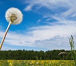 В пятницу в Астрахани сохранится прохладная погода