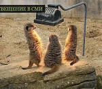 Больше пресс-секретарей! Еще больше пресс-секретарей! Астраханское правительство работает над своей открытостью