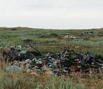 В Астраханской области на месте фермы обнаружили свалку