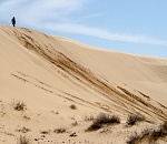 Записки астраханского натуралиста. Бархан «Большой брат»