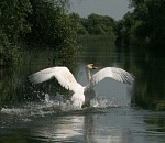 Астраханский заповедник прокомментировал космические цены на экскурсии 