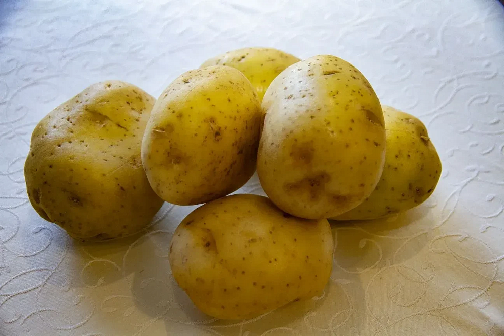 В астраханской картошке выявили повышенное содержание пестицида