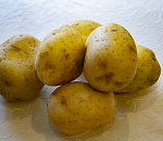 В астраханской картошке выявили повышенное содержание пестицида