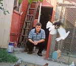 Памяти Анатолия Гужвина