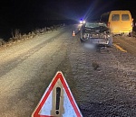 Банзай! Гужевой камикадзе подбил в Красноярском районе Тойоту и Газель