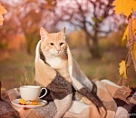 В четверг в Астрахани похолодает