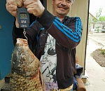 Астраханец поймал и сфотографировал гигантскую рыбу