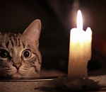 Сотни астраханцев останутся сегодня без света