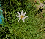 Завтра в Астраханской области установится знойная жара