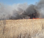 На фото попал адский пожар на объездной трассе 