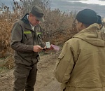 За эти выходные астраханцы неоднократно нарушали правила охоты на пушных животных и дичь