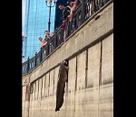 На Новом мосту в Астрахани поймали еще одну огромную рыбу