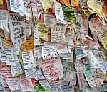 В Астрахани фиксируются нарушения в сфере предвыборной агитации