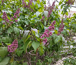 Завтра ветер в Астрахани начнет затихать