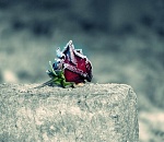 Спасти не удалось: еще два астраханца пополнили список жертв COVID-19