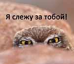 Добровольно-принудительно: за явкой на выборы сотрудников астраханских супермаркетов проследят 