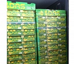 В Астрахани в мандаринах обнаружили личинки мух