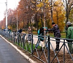 В Астрахани продолжается осенняя высадка деревьев и кустарников