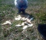 Астраханский рыбак заставил свою маленькую дочь пройти такую дистанцию, что все остались в шоке